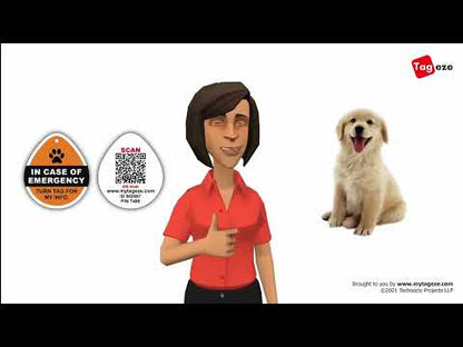 ageze dog tag pet tag informative video